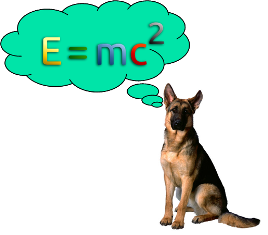 German shepherd quoting math