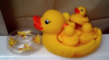 Rubber ducks 362 200