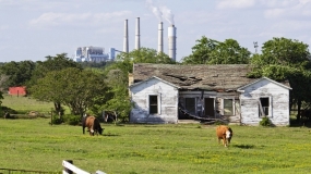 Pollution May Be a Contributor to Alzheimer's