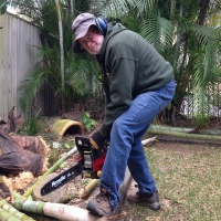 Older guy with Alzheimer's using a chain saw