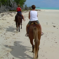 Horseback Riding with Alzheimer's